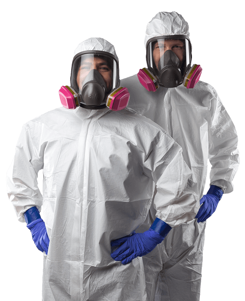 Mould Removal Services in Ontario